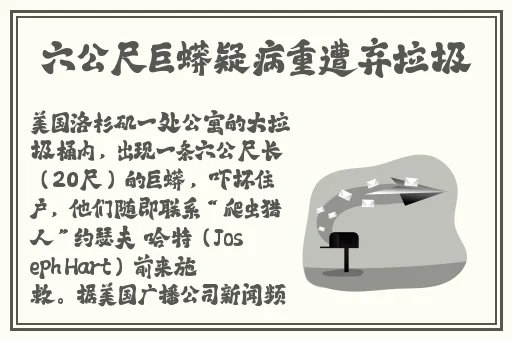 国产精品天天影视久久综合网